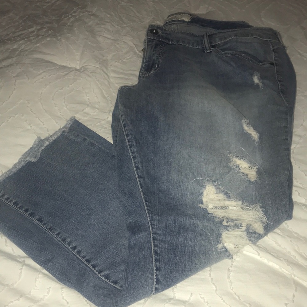 Torrid Denim Jeans